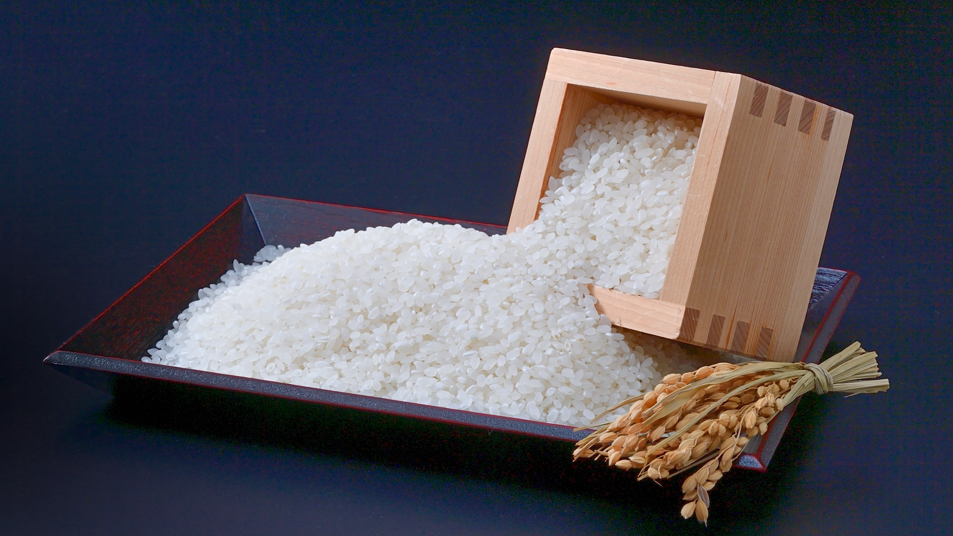 炊きたての白いご飯と季節の小鉢